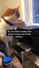 Seriously wait for it