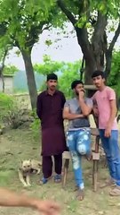 kisi ki lrki ko mat cherrna bhai..... #funny #trending #summer #june2024