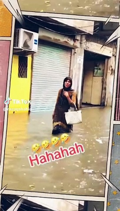 funny videos