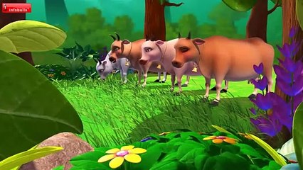 The Cows and the Tiger - Stories for Kids - Infobells