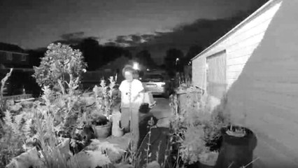 Man gets a vigorous reminder of his pup's strength and speed in hilarious Ring Camera footage