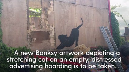 Banksy Unveils Stretching Cat Design As Animal-themed Collection Continues