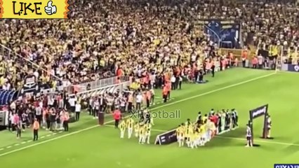 adana demirspor vs  fenerbahce  1-0 highlights