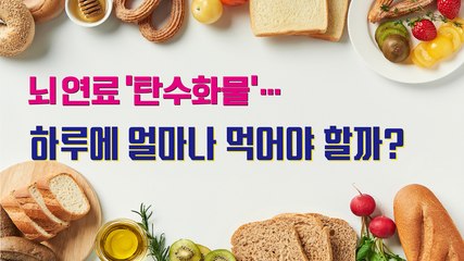 뇌 연료 '탄수화물'…하루에 얼마나 먹어야 할까?[김대성의 아아 그렇군요]