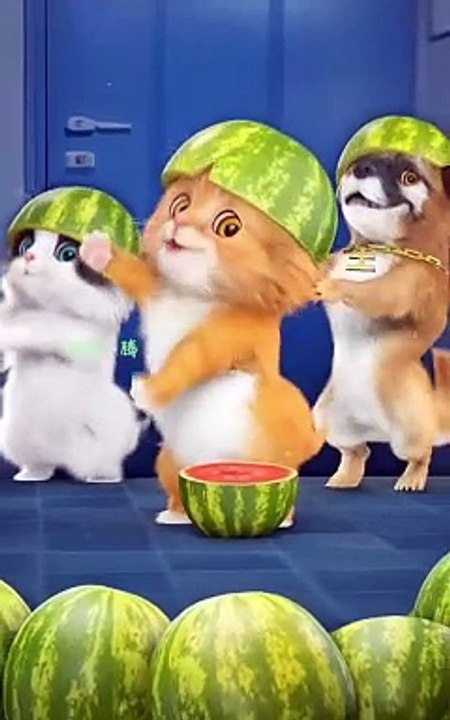 Dudi dam phiên bản đội dưa hấu của biệt đội meow và chó  have fun