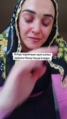 TikTok'un kapatılacağını duyduğunu söyleyen kadın, Cumhurbaşkanı Erdoğan'a seslendi