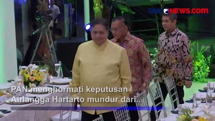 Mundur dari Ketum Golkar, PAN Hormati Keputusan Airlangga Hartarto