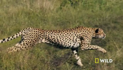 #foryou public viral video #mywords #funnyclips #mywordslife #skincare