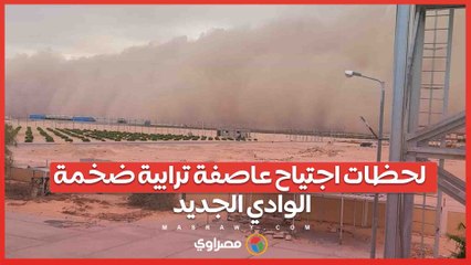 لحظات اجتياح عاصفة ترابية ضخمة الوادي الجديد