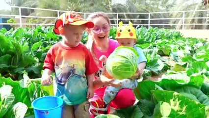 Diana and Roma's Exciting Forest Adventure in the Emirates