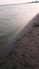 Hunting fish on river Satluj