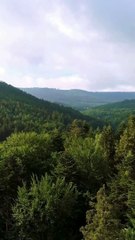 RAAGOTSAV HINDUSTANI MUSIC CHANNEL