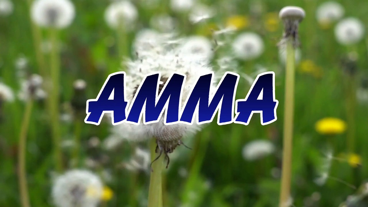 AMMA - (Mother)