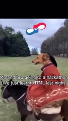 Bro is a Pro!!!!!!#coding #developer