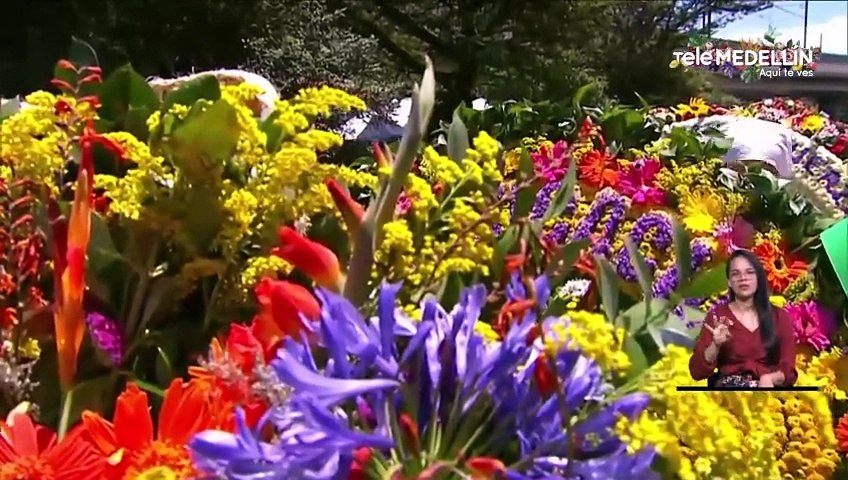 EN VIVO:  Feria de las Flores Medellín Te Quiere (309)