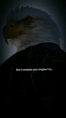 Never Compare #viral #trending #dailymotion #usa #motivation