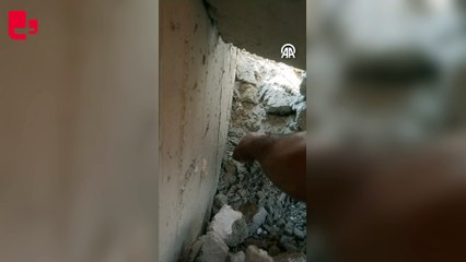 Hatay'da kontrollü yıkılan binadaki iki kedi yavrusu kurtarıldı