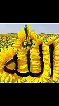 Naat sharif, naat, viral naat, naat naat, new naat, Islamic naat, new Islamic naat, Naate pak, new Naate pak, Beautiful naat sharif