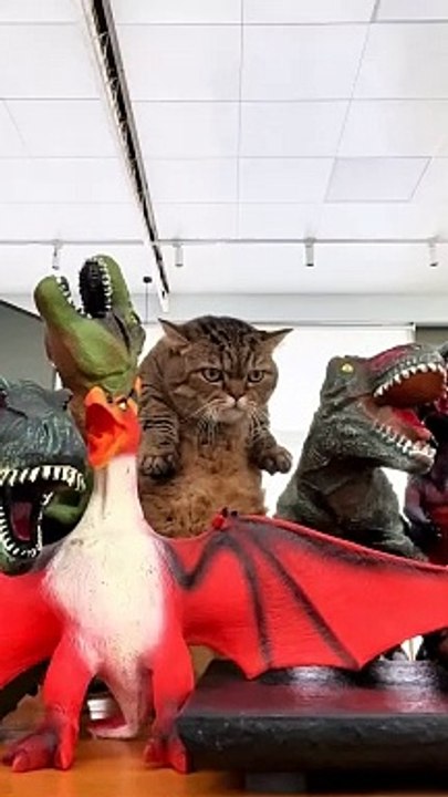 Rawrrr