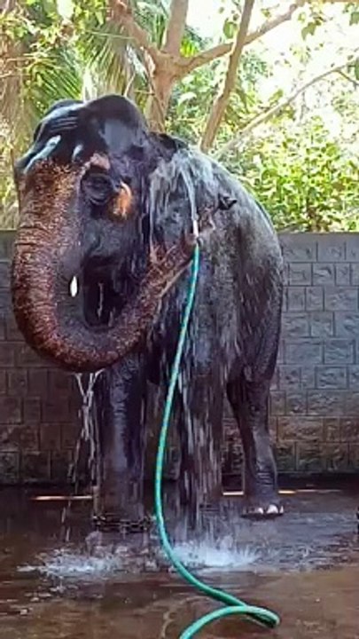 Entertainment Express #dailymotion #funny #kids #children #viralvideo #viral #trending #trend #trendingnow