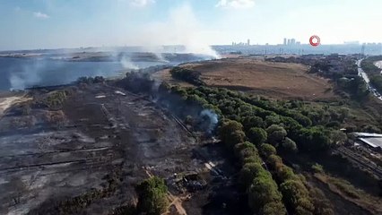 İstanbul Avcılar’da ağaçlık alanda yangın: Tren seferleri durduruldu