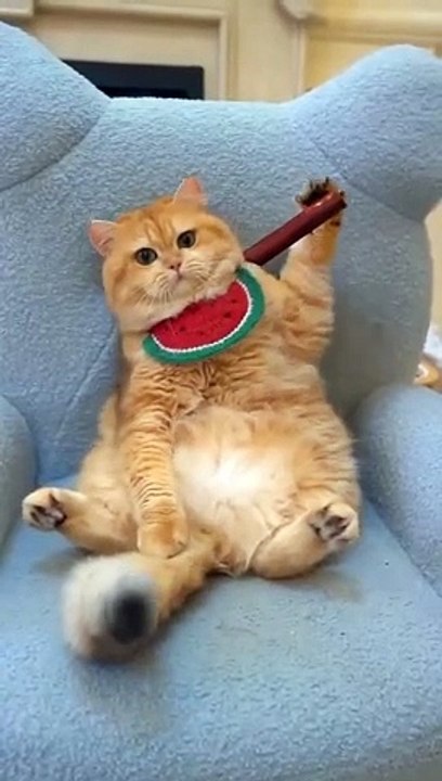 garuk_garuk_punggung_ternyata.._#shorts_#shorts_#funny_#dagelan(480p)