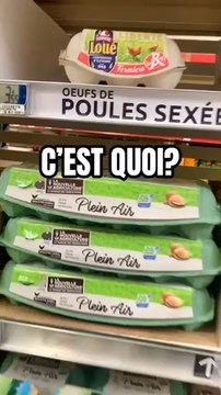 Comment choisir ses œufs pour ses protéines et sa musculation ? Resolution de la rentree !