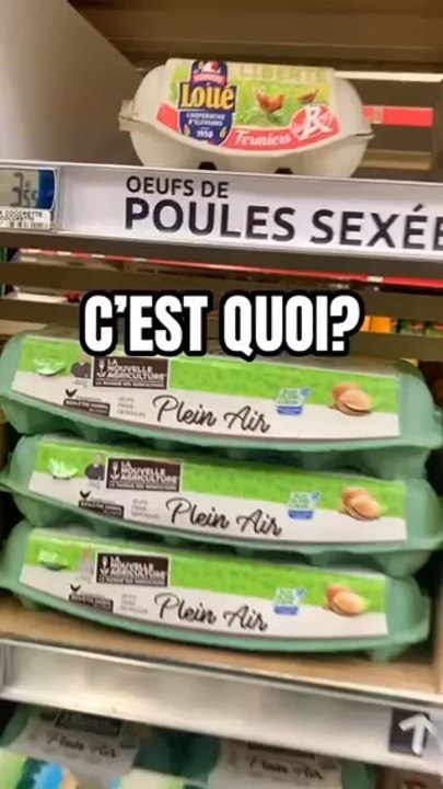 Comment choisir ses œufs pour ses protéines et sa musculation ? Resolution de la rentree !