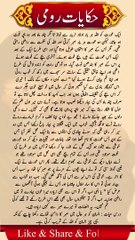 Rumi Ki Hikayat #lifelessons#shorts#morallessons