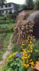 Take control over your mental programming ✨