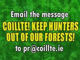 Coillte! Keep hunts out of our forests!