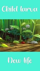 Larva preschool #shorts #larva #cartoon