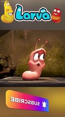 Larva love story #shorts #larva #cartoonfunny