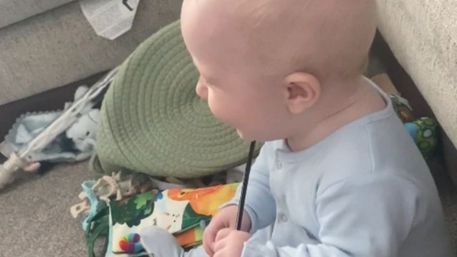 Adorable baby's joy knows no bounds while playing with Maine Coon kitten