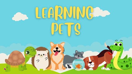 Learning Pets _ Kids Learning Video_HD