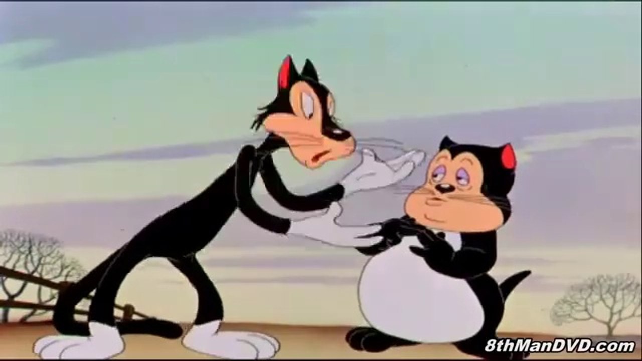 A tale of two kitties