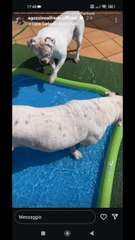 mi rilasso nella mia piscina dei cinesi con i miei ♥️