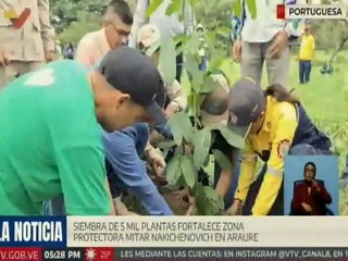 Portuguesa I La Zona Protectora Mitar Nakichenovich se fortalece con la siembra de 5 mil plantas