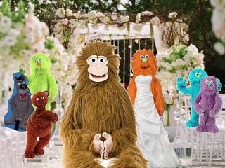 Sesame Street - Monster and Mimicking Monkey With at the Wedding Ceremony