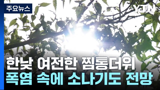 [날씨] 서울 '22일 연속 열대야;...한낮 폭염 속 소나기 / YTN