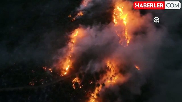 Bursa ve Tokat'ta orman yangını çıktı, ekipler zamana karşı yarış başlattı