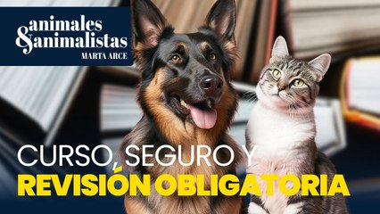 Las novedades del curso, seguro y revisiones obligatorias de mascotas