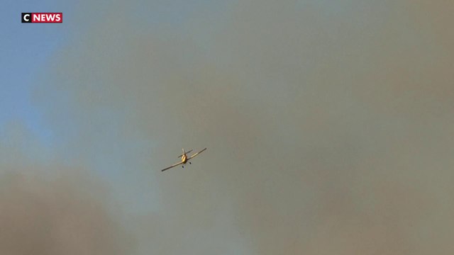 Incendies en Grèce : les autorités ordonnent l'évacuation de la ville historique de Marathon, près d'Athènes