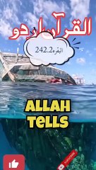 @Quran Urdu #Transletion !