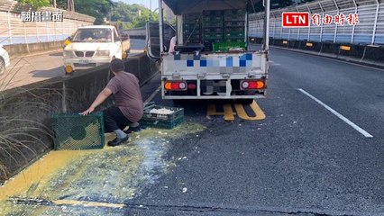 新北貨車繩索斷裂，雞蛋散落路面，機車騎士嚇飛受傷🚧
