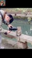 Cat Photography| Most Funny Clips Ever 2024| New Funny Cat Video 2024|