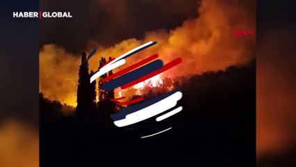 Karaburun'da orman yangını! 3 kişi dumandan etkilendi