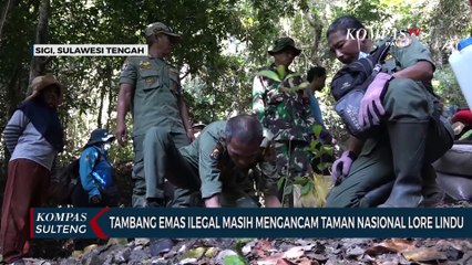 Tambang Emas Ilegal Masih Mengancam Taman Nasional Lore Lindu