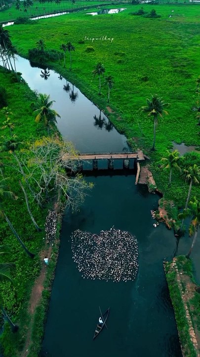 Follow me @mr.bion980 Follow me @mr.bion980 Follow me @mr.bion980 .... ...... .#fyp #reels #viral #video #...tion #qurantranslationurdu  #urdutranslationofquran #shorts #short #mrbion #followforfollowback #insta #instagram #video # (1)