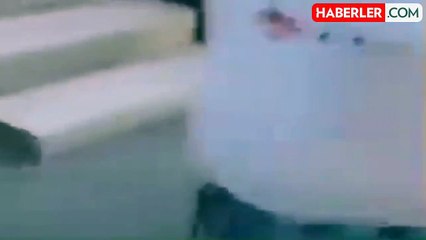 Yavru kedileri fırça sapıyla defalarca vurarak öldürdü! Olay ne, nerede oldu?